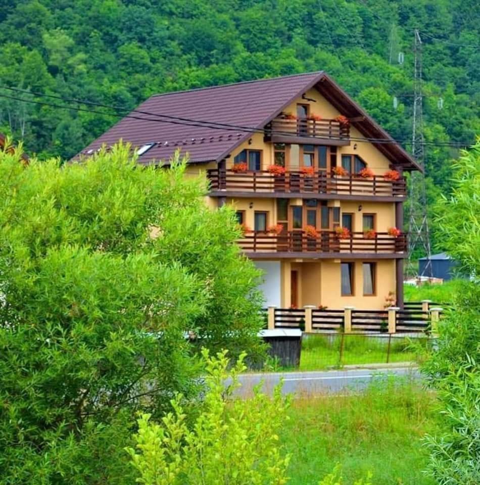 Hotel Casa Vadeanu Syhot Marmaroski Zewnętrze zdjęcie