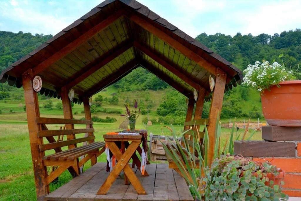 Hotel Casa Vadeanu Syhot Marmaroski Zewnętrze zdjęcie